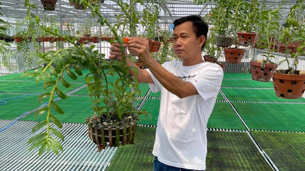 Ông chủ vườn lan 8X Phạm Minh Minh nổi tiếng, được yêu mến đến không ngờ