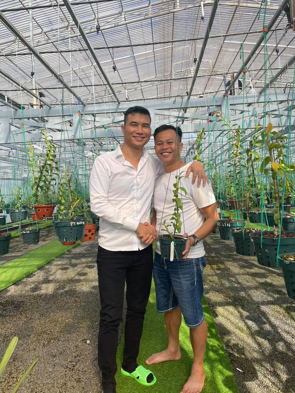 Ông chủ vườn lan Long Bảo: Từ khó khăn đi đến thành công Ông chủ vườn lan Long Bảo: Từ khó khăn đi đến thành công