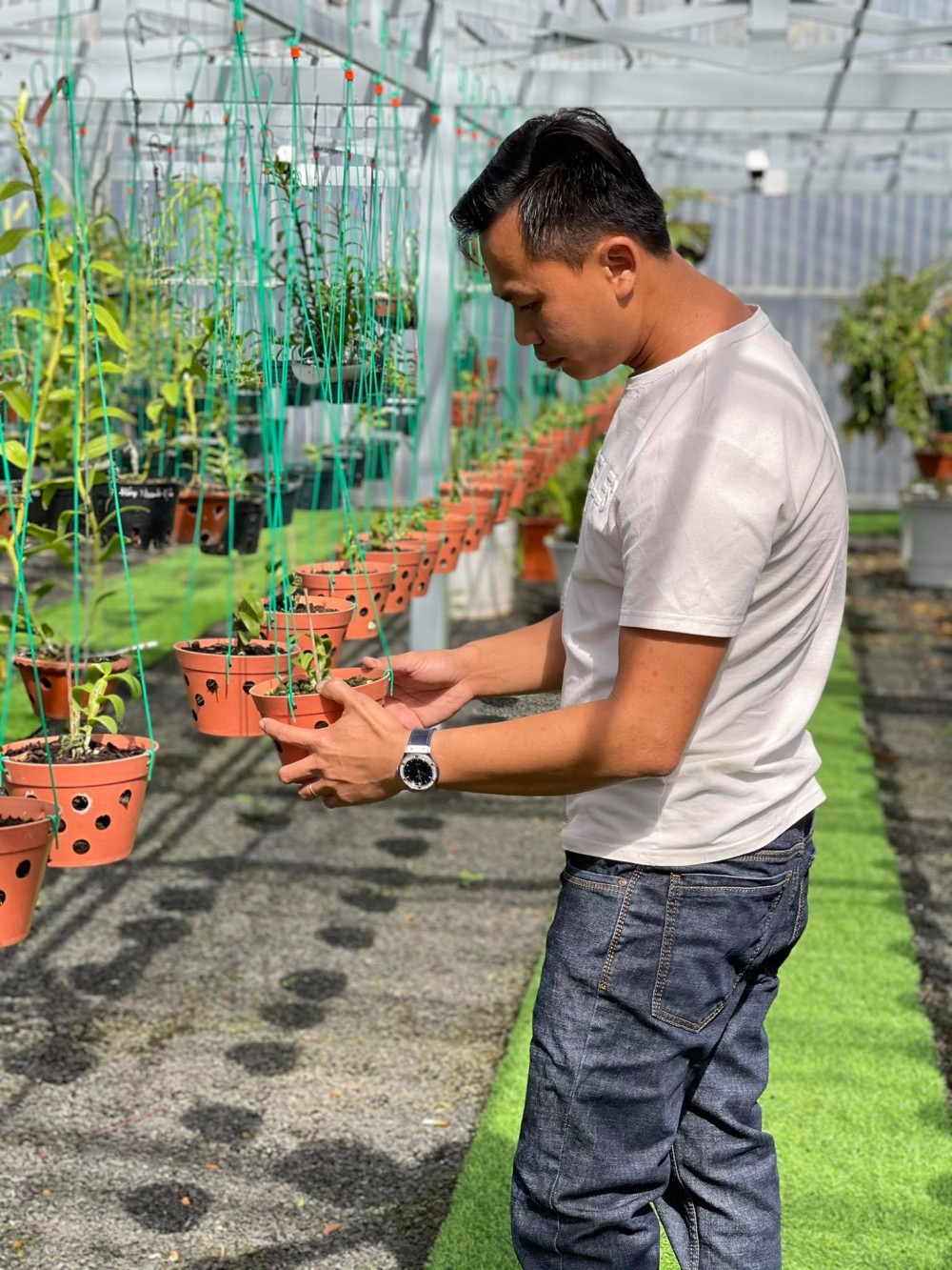 Ông chủ vườn lan Long Bảo: Từ khó khăn đi đến thành công