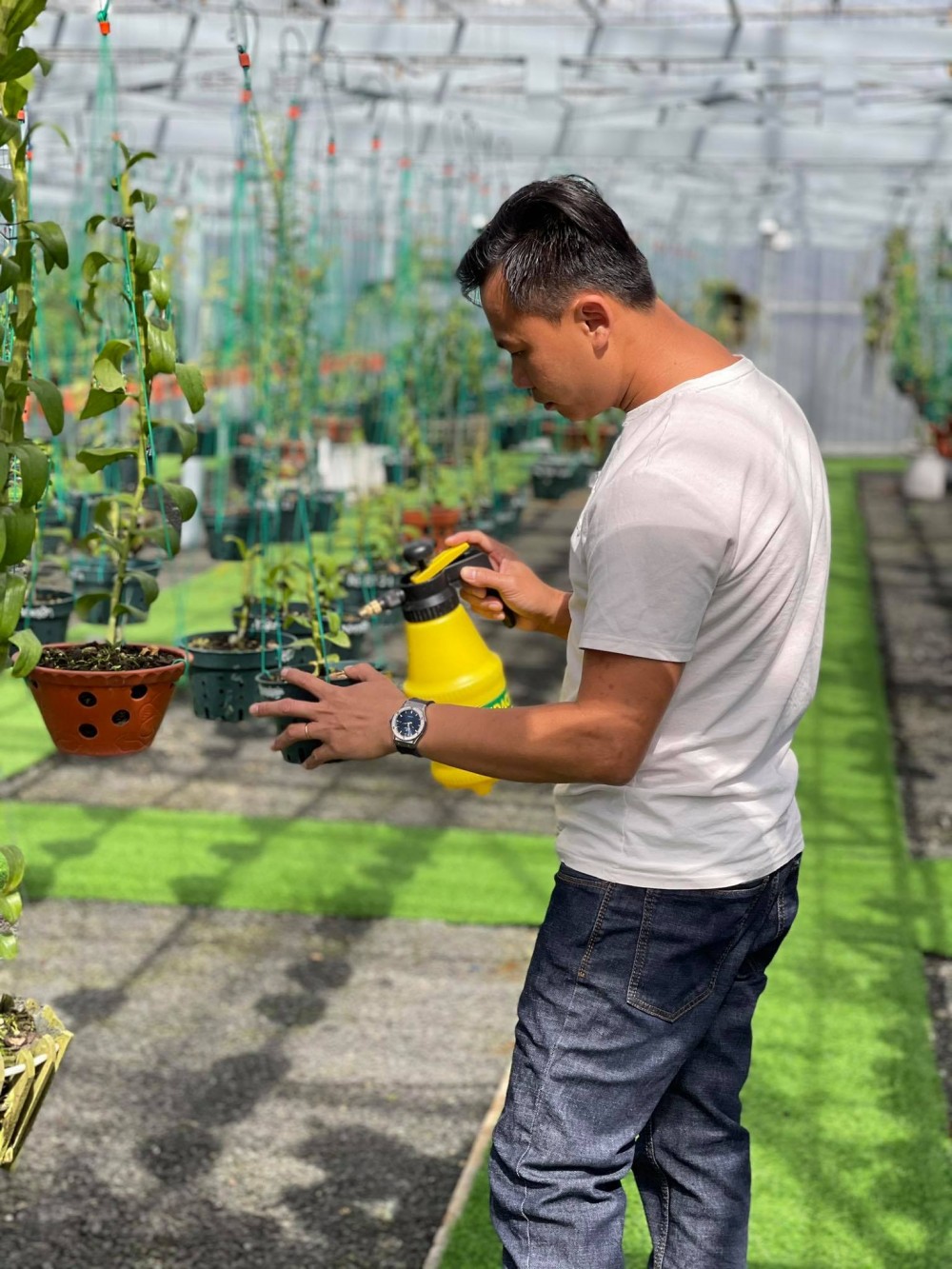 Ông chủ vườn lan Long Bảo: Từ khó khăn đi đến thành công Ông chủ vườn lan Long Bảo: Từ khó khăn đi đến thành công