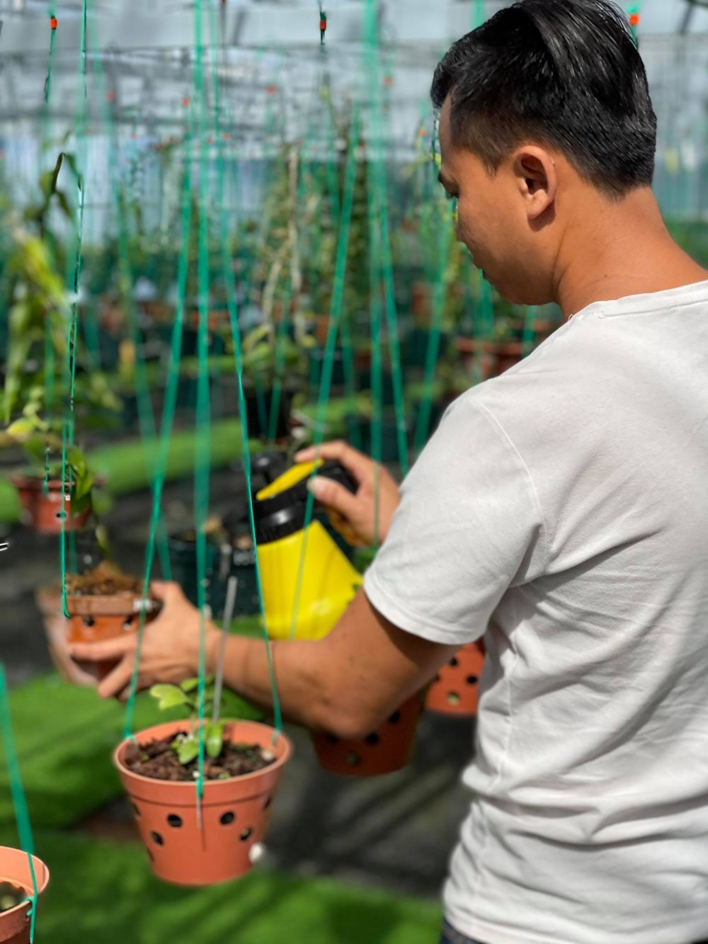 Ông chủ vườn lan Long Bảo: Từ khó khăn đi đến thành công