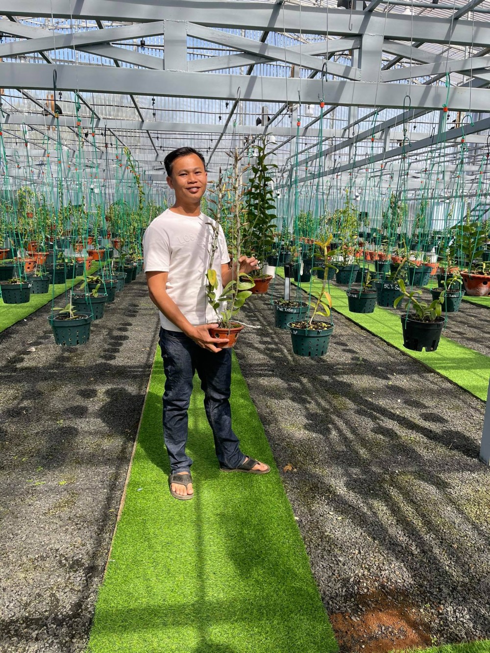 Ông chủ vườn lan Long Bảo: Từ khó khăn đi đến thành công Ông chủ vườn lan Long Bảo: Từ khó khăn đi đến thành công