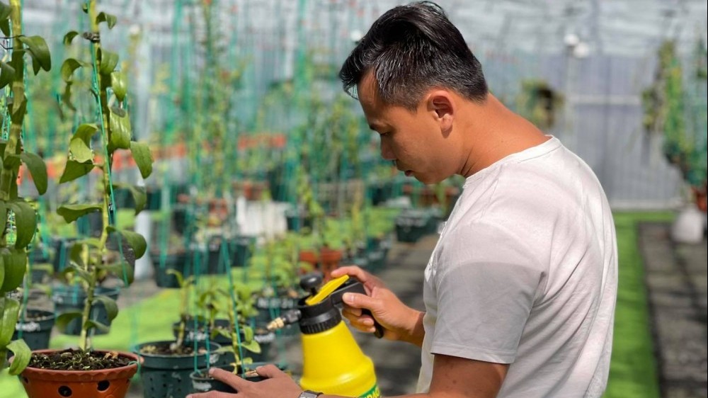 Ông chủ vườn lan Long Bảo: Từ khó khăn đi đến thành công