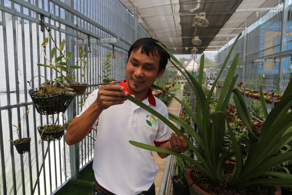 Thiệt hại tiền tỷ nhưng ông chủ vườn lan 8X Vũ Neo không lùi bước Thiệt hại tiền tỷ nhưng ông chủ vườn lan 8X Vũ Neo không lùi bước