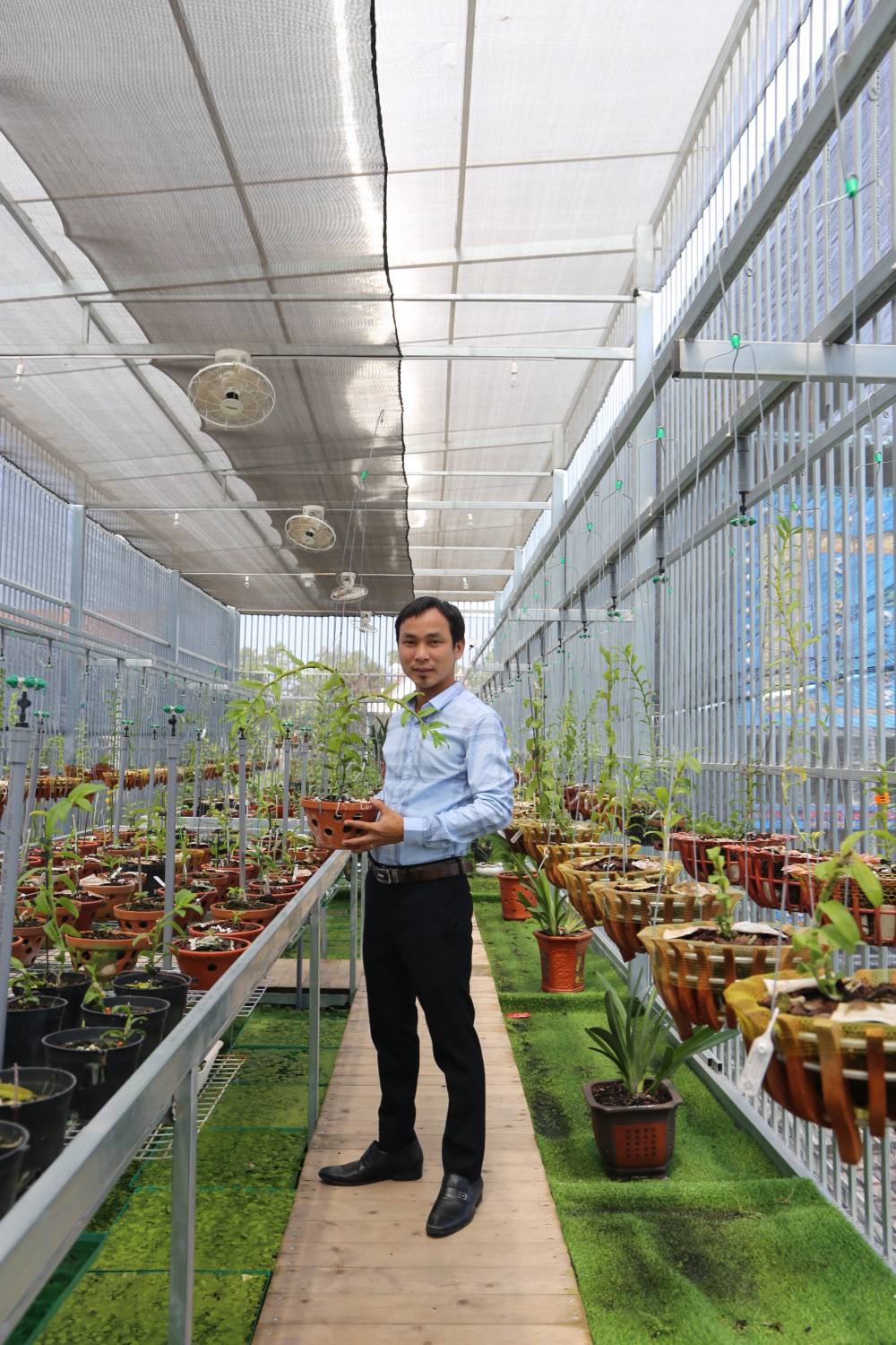 Thiệt hại tiền tỷ nhưng ông chủ vườn lan 8X Vũ Neo không lùi bước Thiệt hại tiền tỷ nhưng ông chủ vườn lan 8X Vũ Neo không lùi bước