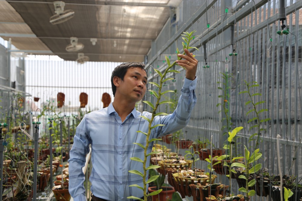 Thiệt hại tiền tỷ nhưng ông chủ vườn lan 8X Vũ Neo không lùi bước Thiệt hại tiền tỷ nhưng ông chủ vườn lan 8X Vũ Neo không lùi bước