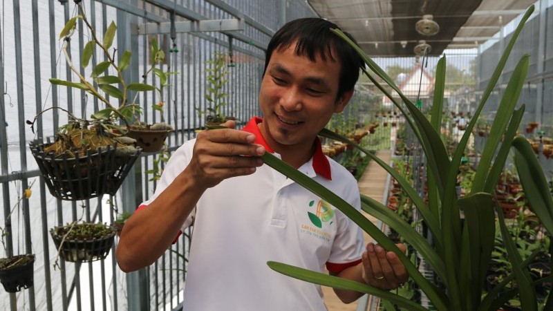 Thiệt hại tiền tỷ nhưng ông chủ vườn lan 8X Vũ Neo không lùi bước