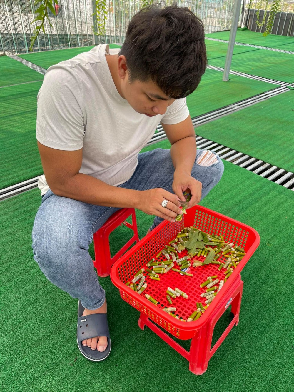 Huỳnh Vũ: Từ chàng trai trông xe đến ông chủ vườn lan giá trị