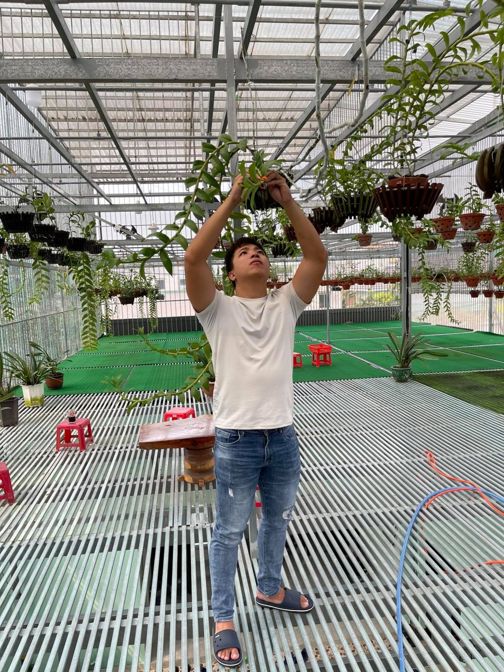 Huỳnh Vũ: Từ chàng trai trông xe đến ông chủ vườn lan giá trị Huỳnh Vũ: Từ chàng trai trông xe đến ông chủ vườn lan giá trị