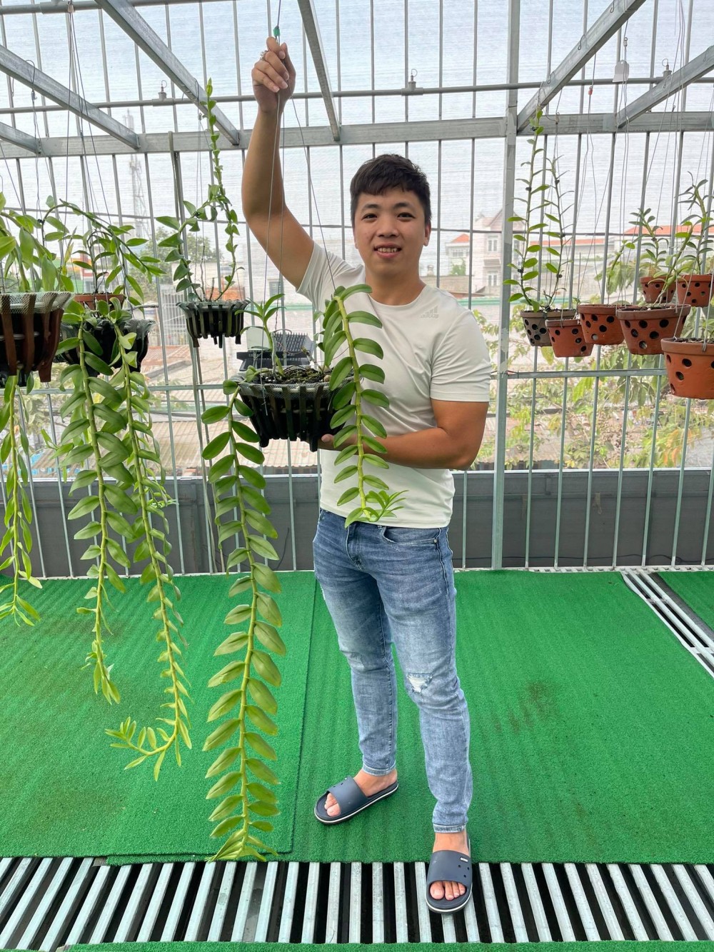 Huỳnh Vũ: Từ chàng trai trông xe đến ông chủ vườn lan giá trị Huỳnh Vũ: Từ chàng trai trông xe đến ông chủ vườn lan giá trị