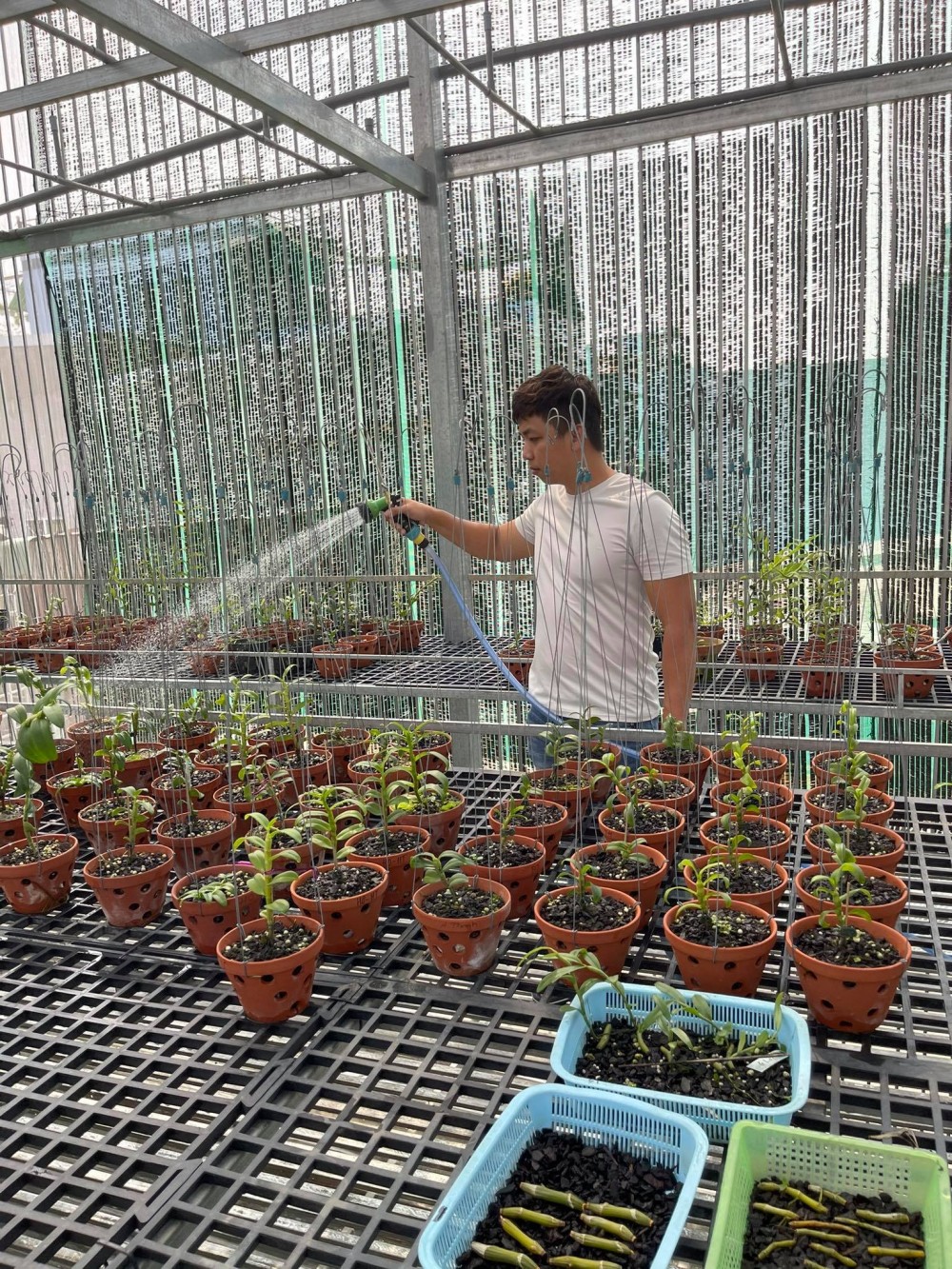 Huỳnh Vũ: Từ chàng trai trông xe đến ông chủ vườn lan giá trị