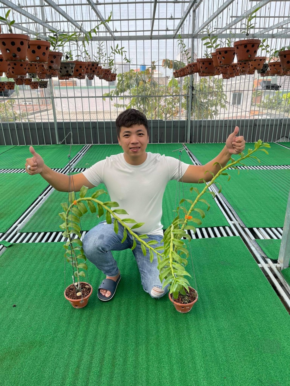 Huỳnh Vũ: Từ chàng trai trông xe đến ông chủ vườn lan giá trị