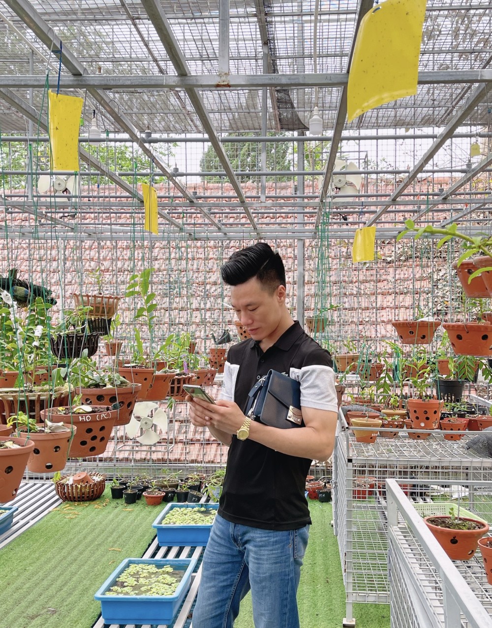 Thầy giáo Vũ Hoàng Giang và vườn lan giá trị được nhiều người ngưỡng mộ