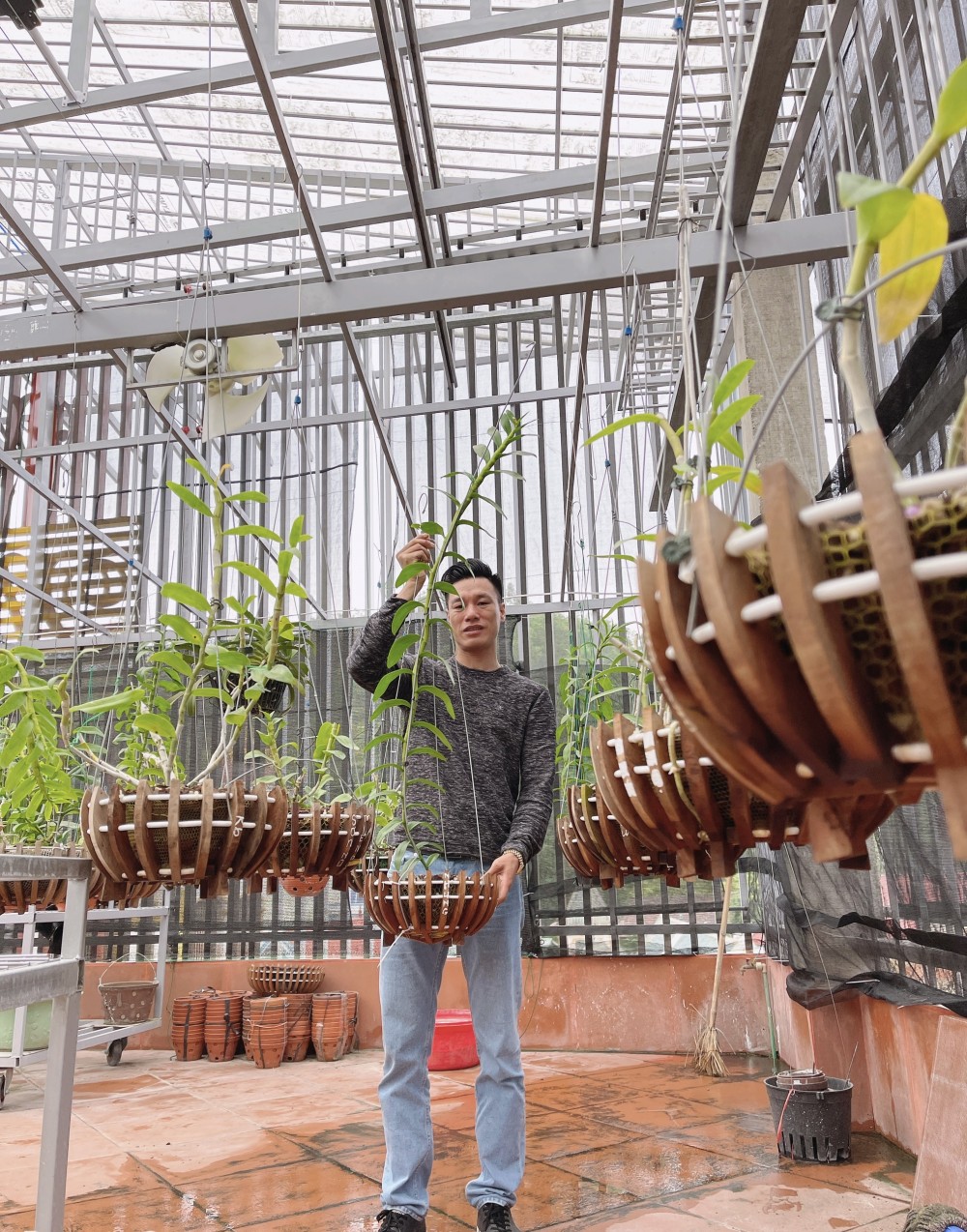 Thầy giáo Vũ Hoàng Giang và vườn lan giá trị được nhiều người ngưỡng mộ Thầy giáo Vũ Hoàng Giang và vườn lan giá trị được nhiều người ngưỡng mộ