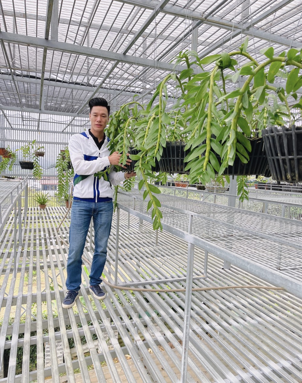 Thầy giáo Vũ Hoàng Giang và vườn lan giá trị được nhiều người ngưỡng mộ Thầy giáo Vũ Hoàng Giang và vườn lan giá trị được nhiều người ngưỡng mộ