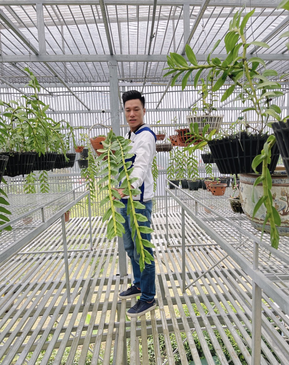 Thầy giáo Vũ Hoàng Giang và vườn lan giá trị được nhiều người ngưỡng mộ Thầy giáo Vũ Hoàng Giang và vườn lan giá trị được nhiều người ngưỡng mộ