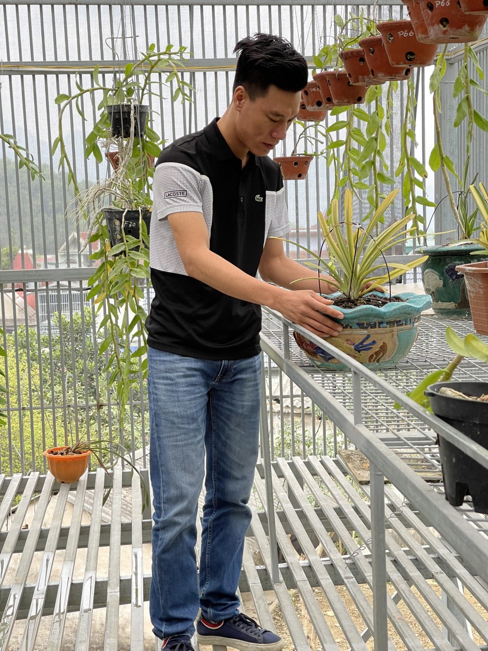 Thầy giáo Vũ Hoàng Giang và vườn lan giá trị được nhiều người ngưỡng mộ Thầy giáo Vũ Hoàng Giang và vườn lan giá trị được nhiều người ngưỡng mộ