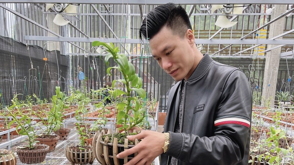 Thầy giáo Vũ Hoàng Giang và vườn lan giá trị được nhiều người ngưỡng mộ