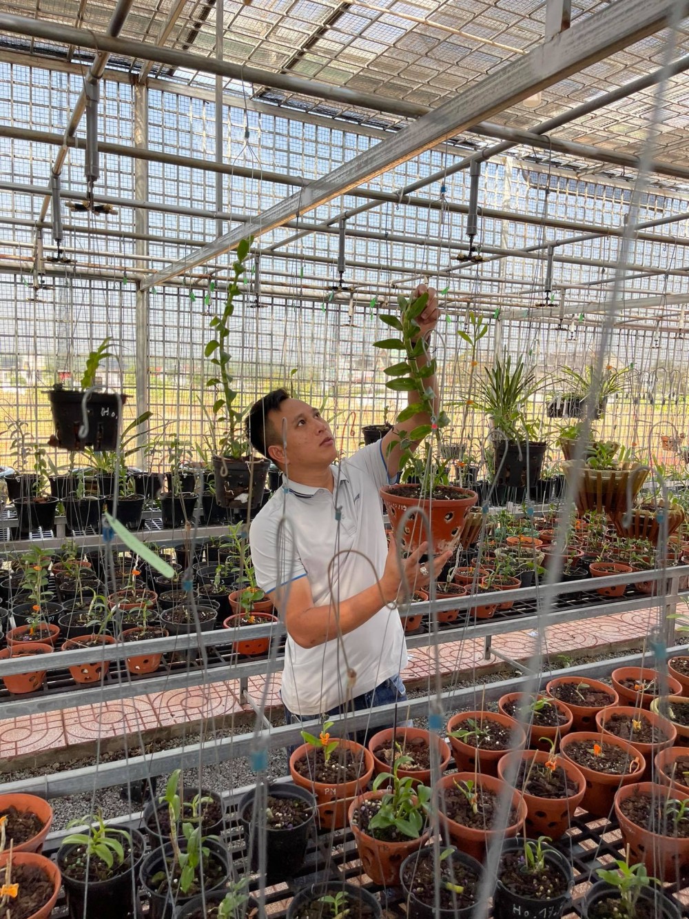 Ông chủ vườn lan Hạo Hạo: Người chơi lan cần có những nét riêng cá nhân