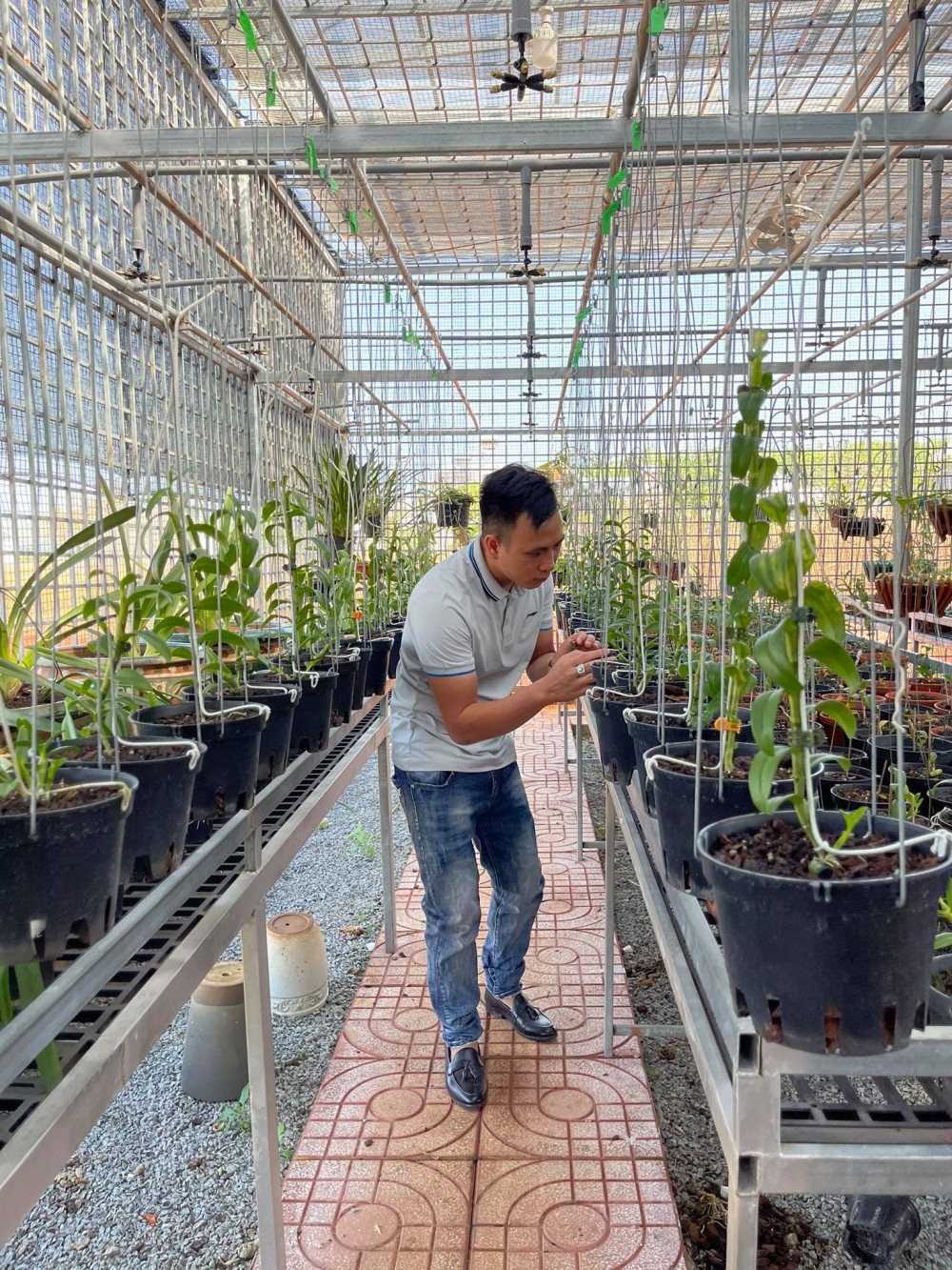 Ông chủ vườn lan Hạo Hạo: Người chơi lan cần có những nét riêng cá nhân