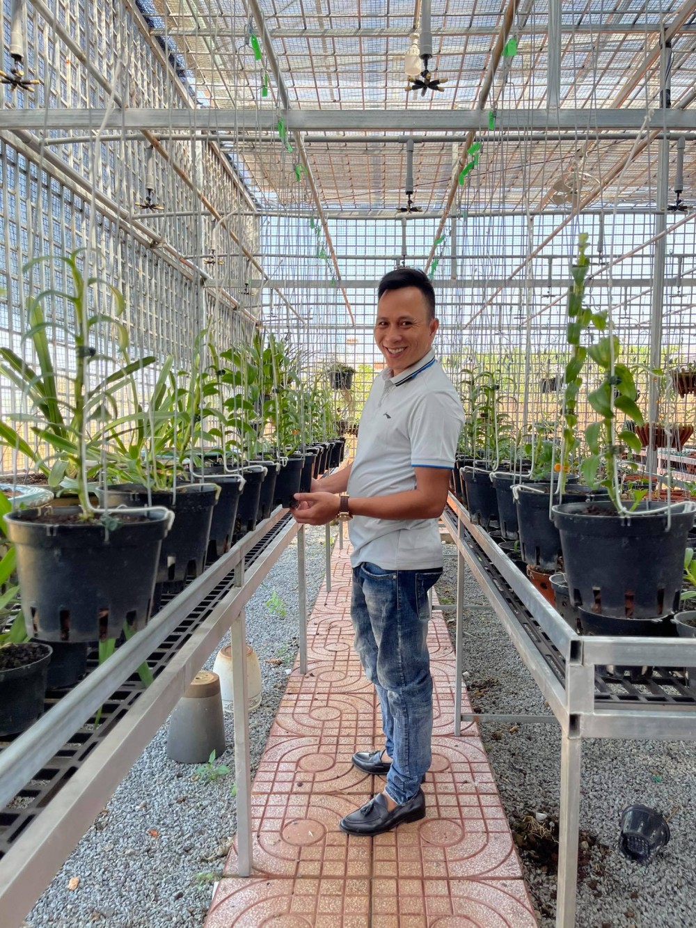 Ông chủ vườn lan Hạo Hạo: Người chơi lan cần có những nét riêng cá nhân