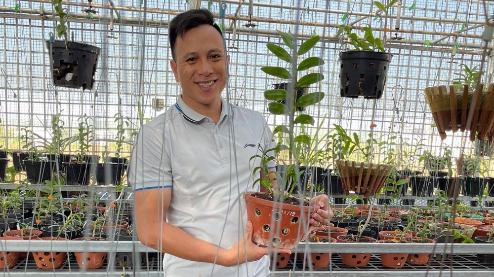 Ông chủ vườn lan Hạo Hạo: Người chơi lan cần có những nét riêng cá nhân