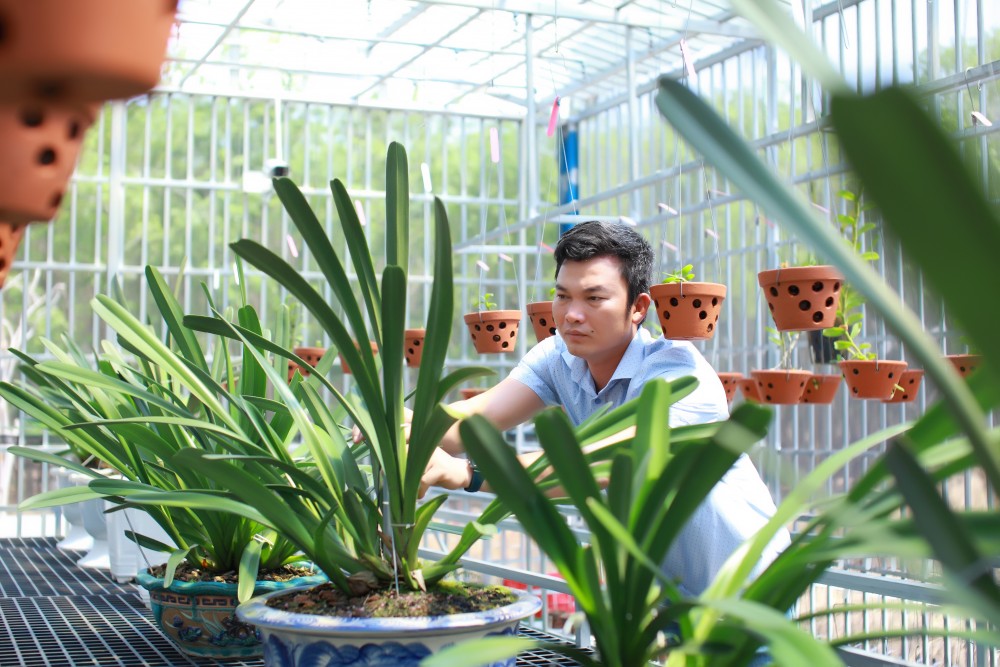 Nghệ nhân Dần Ngô và khát vọng vươn lên từ đam mê hoa lan