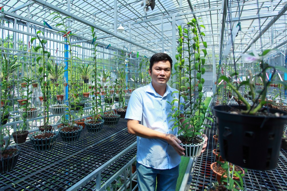 Nghệ nhân Dần Ngô và khát vọng vươn lên từ đam mê hoa lan