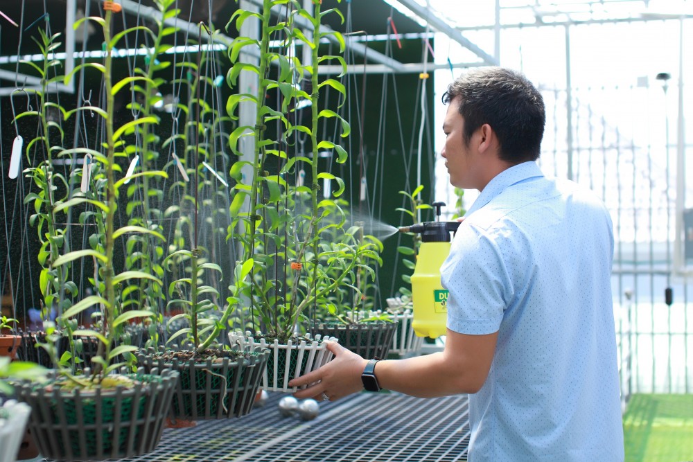 Nghệ nhân Dần Ngô và khát vọng vươn lên từ đam mê hoa lan