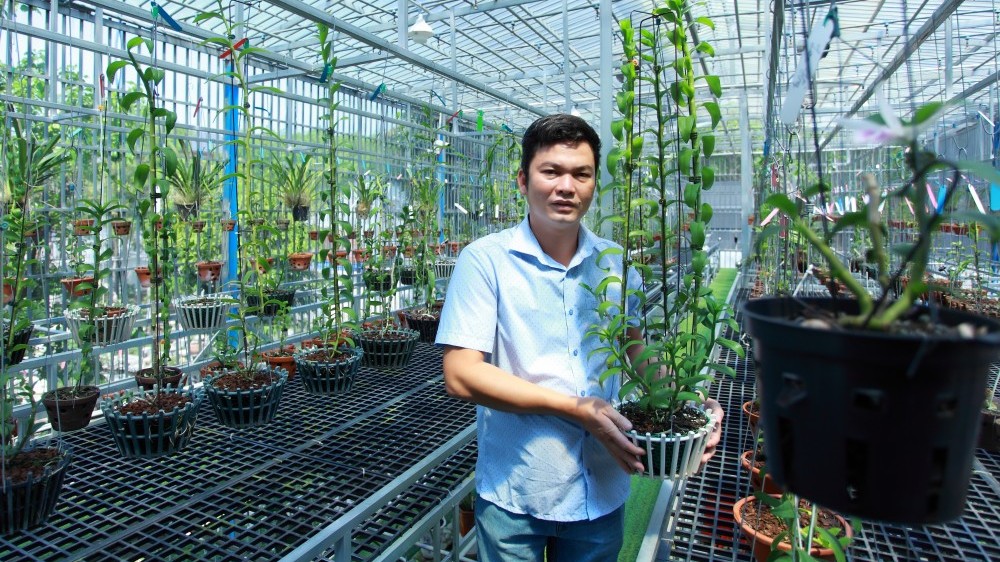 Nghệ nhân Dần Ngô và khát vọng vươn lên từ đam mê hoa lan