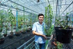 Nghệ nhân Dần Ngô và khát vọng vươn lên từ đam mê hoa lan