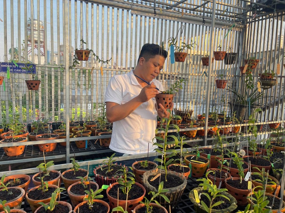 Diệp Minh Tuyền: Đến với hoa lan rất tình cờ nhưng lại là đam mê lớn Diệp Minh Tuyền: Đến với hoa lan rất tình cờ nhưng lại là đam mê lớn