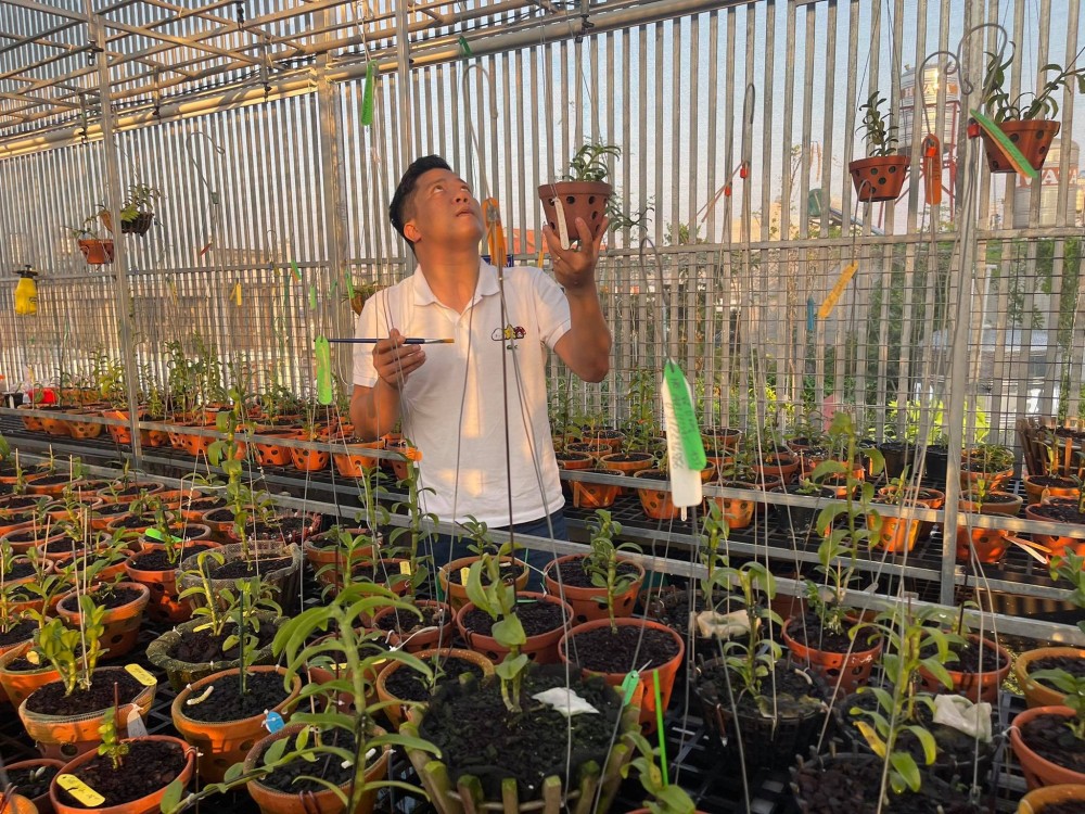 Diệp Minh Tuyền: Đến với hoa lan rất tình cờ nhưng lại là đam mê lớn Diệp Minh Tuyền: Đến với hoa lan rất tình cờ nhưng lại là đam mê lớn