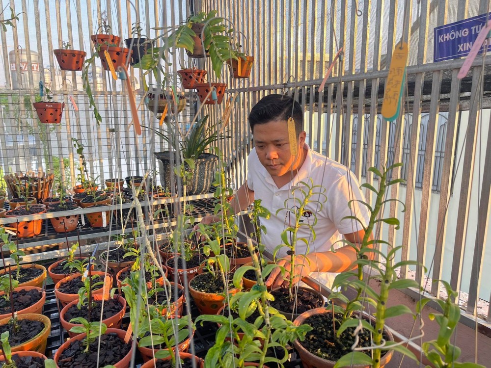 Diệp Minh Tuyền: Đến với hoa lan rất tình cờ nhưng lại là đam mê lớn Diệp Minh Tuyền: Đến với hoa lan rất tình cờ nhưng lại là đam mê lớn