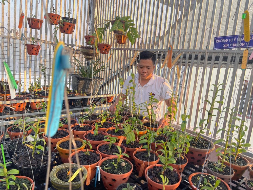 Diệp Minh Tuyền: Đến với hoa lan rất tình cờ nhưng lại là đam mê lớn Diệp Minh Tuyền: Đến với hoa lan rất tình cờ nhưng lại là đam mê lớn