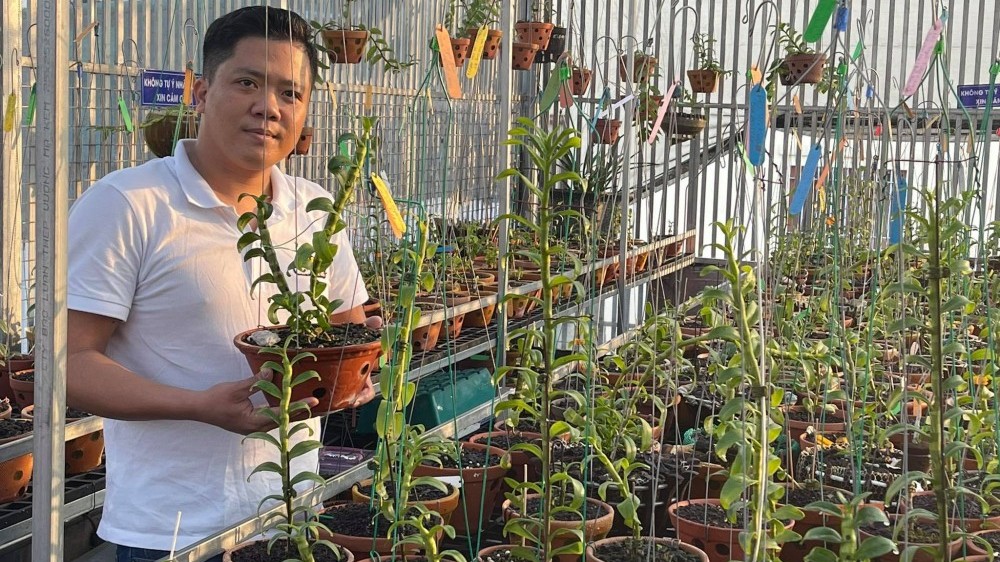 Diệp Minh Tuyền: Đến với hoa lan rất tình cờ nhưng lại là đam mê lớn