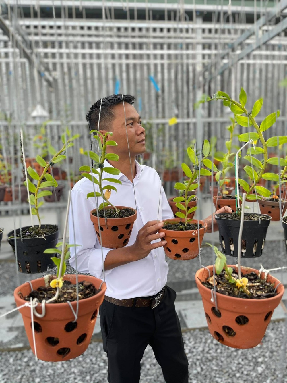 Nghệ nhân Vinh Phạm: Làm và thú vui chơi lan đột biến Nghệ nhân Vinh Phạm: Làm và thú vui chơi lan đột biến