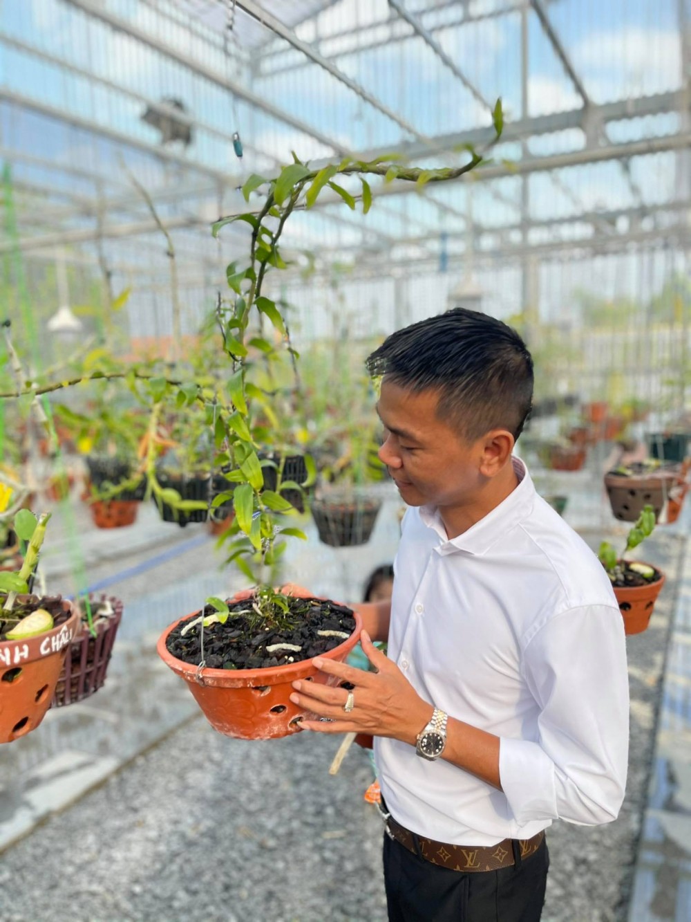 Nghệ nhân Vinh Phạm: Làm và thú vui chơi lan đột biến Nghệ nhân Vinh Phạm: Làm và thú vui chơi lan đột biến