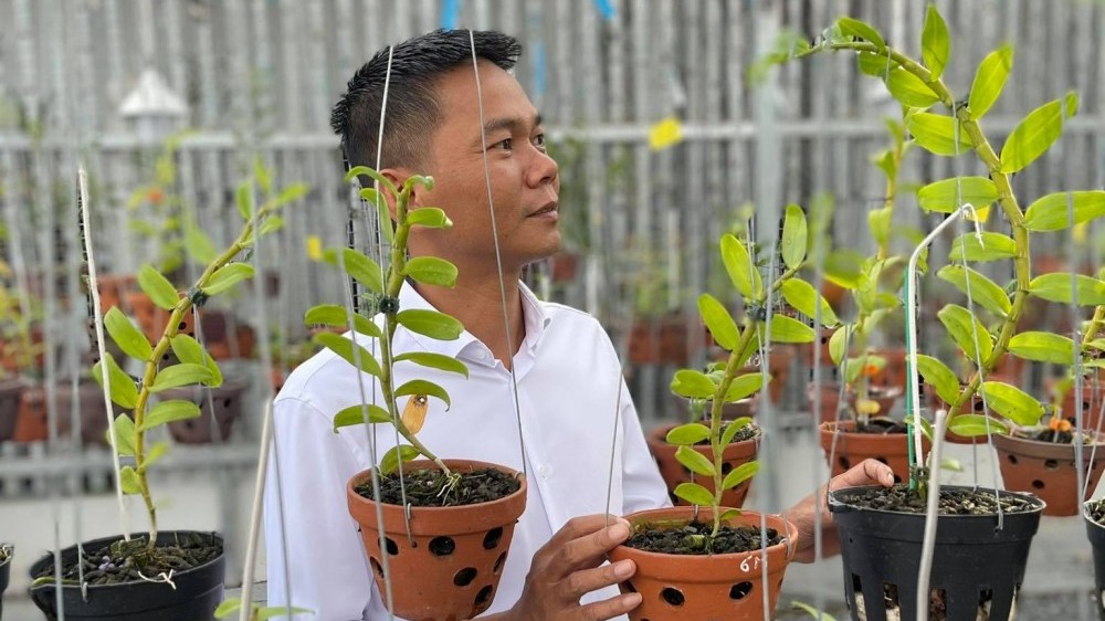 Nghệ nhân Vinh Phạm: Làm và thú vui chơi lan đột biến