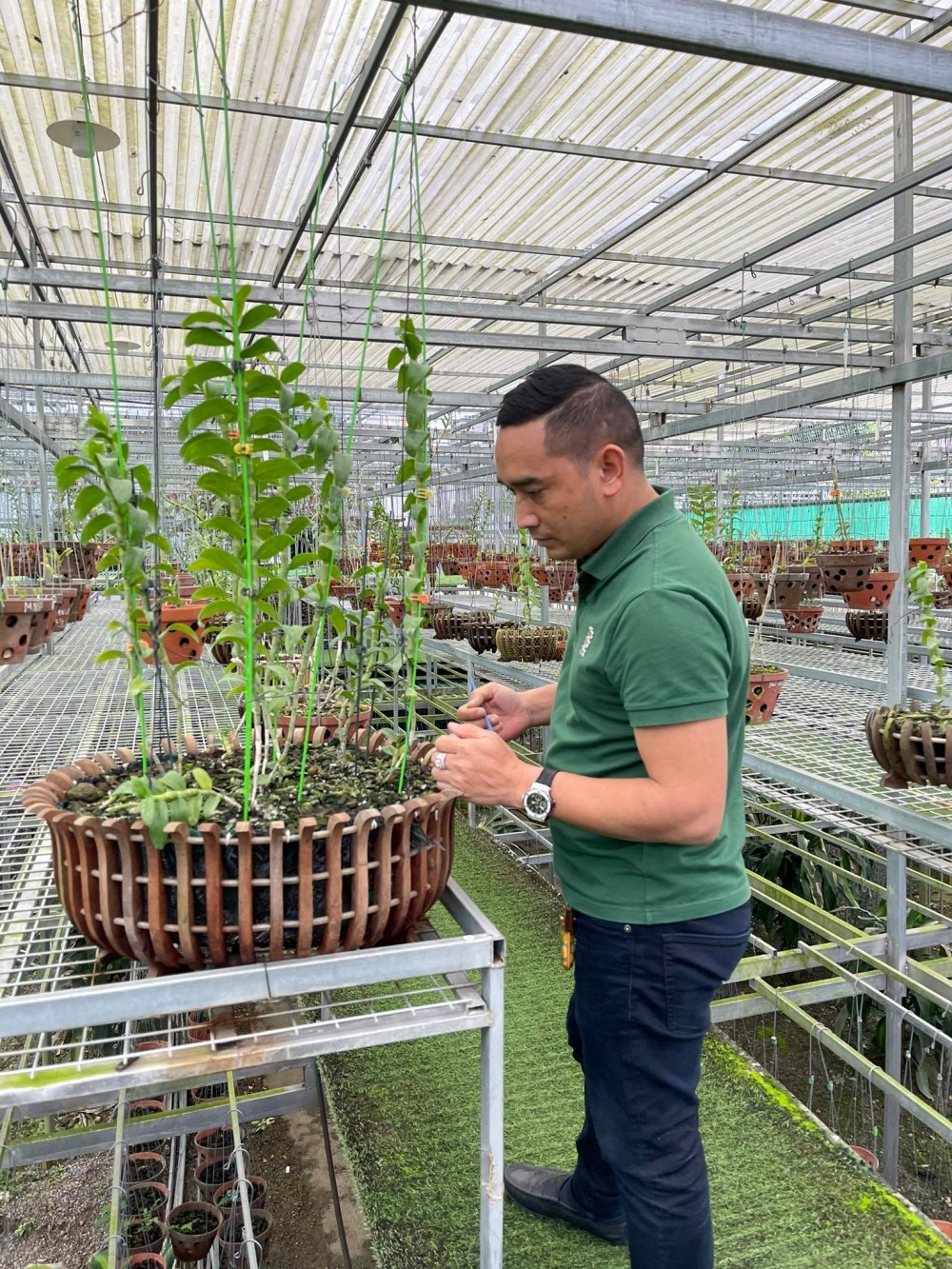 Nguyễn Tiến Huy và gia tài khủng trong thú chơi lan