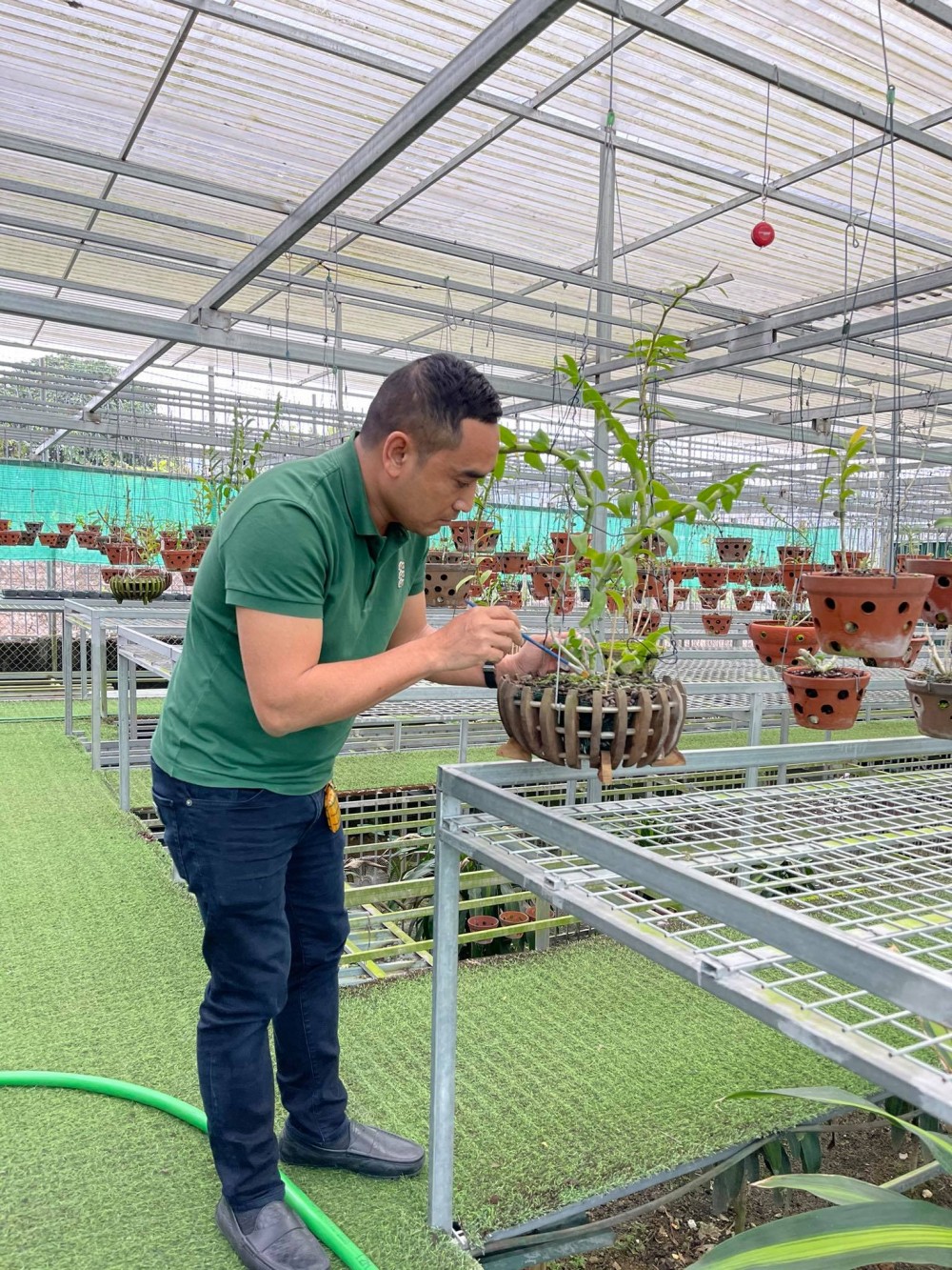 Nguyễn Tiến Huy và gia tài khủng trong thú chơi lan