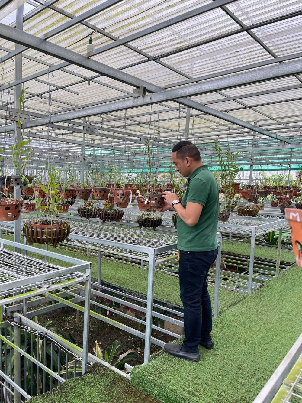 Nguyễn Tiến Huy và gia tài khủng trong thú chơi lan