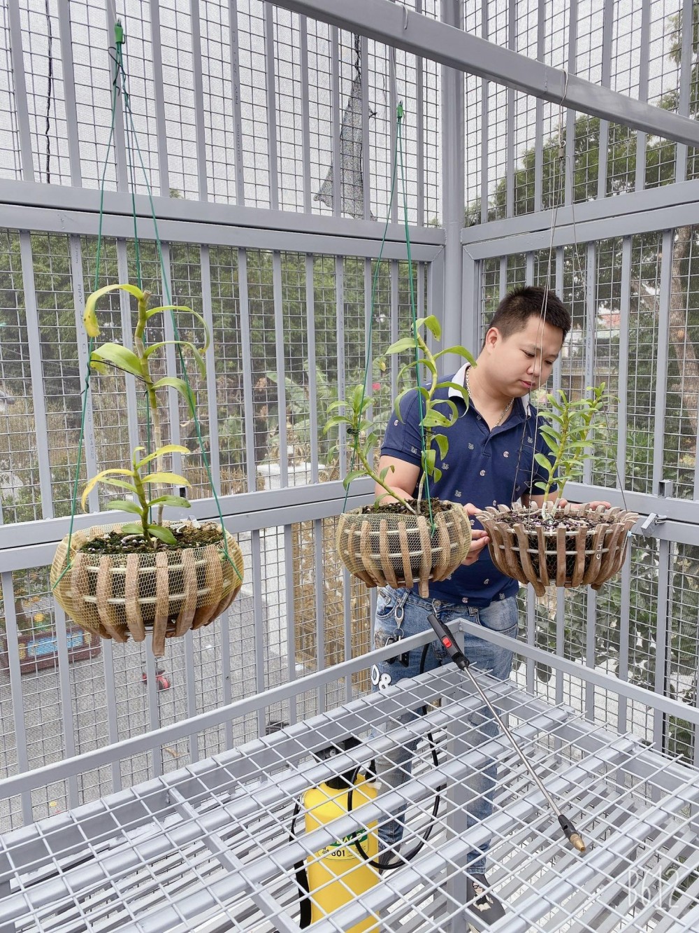 Khải Hoàn - ông chủ vườn lan nổi tiếng ở đất Hà Nam