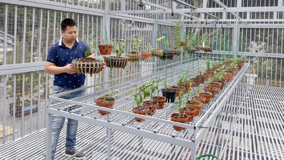 Khải Hoàn - ông chủ vườn lan nổi tiếng ở đất Hà Nam