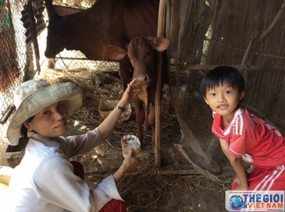 Giám đốc Seed To Table: “Tôi đến Việt Nam không chỉ là trách nhiệm, mà còn là tình yêu”