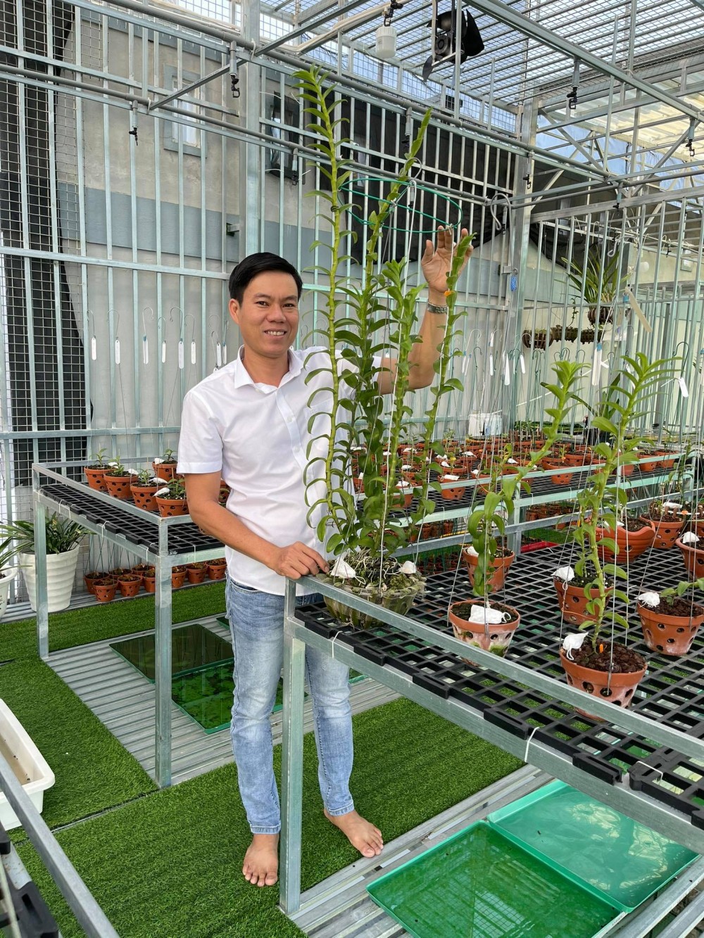 Hồng Quân: Từ ông chủ doanh nghiệp tới người trồng lan đột biến Hồng Quân: Từ ông chủ doanh nghiệp tới người trồng lan đột biến