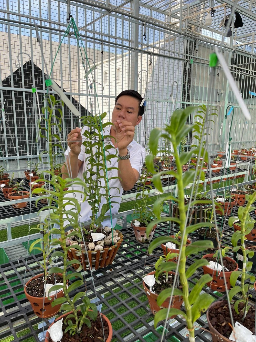 Hồng Quân: Từ ông chủ doanh nghiệp tới người trồng lan đột biến Hồng Quân: Từ ông chủ doanh nghiệp tới người trồng lan đột biến