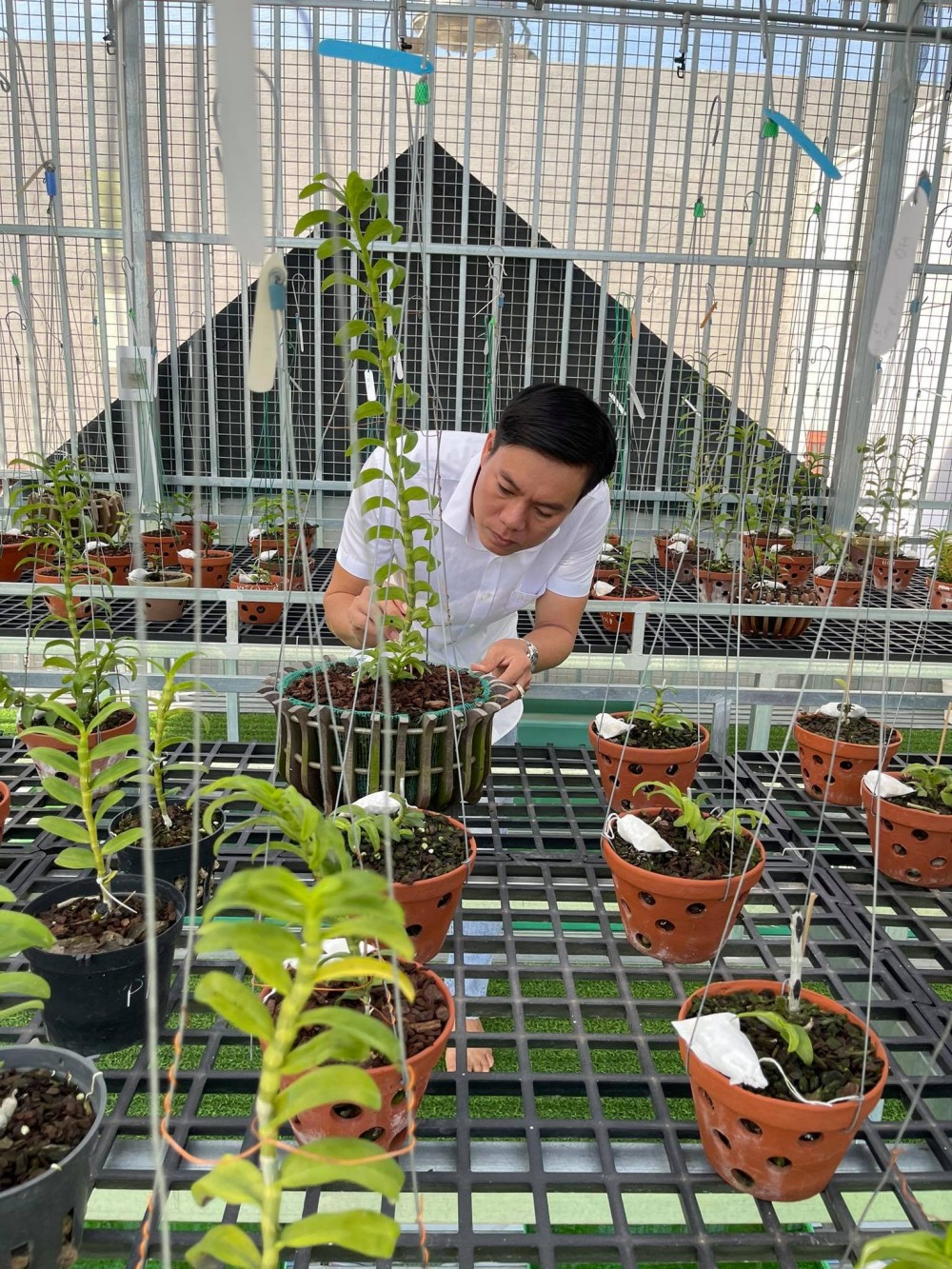 Hồng Quân: Từ ông chủ doanh nghiệp tới người trồng lan đột biến Hồng Quân: Từ ông chủ doanh nghiệp tới người trồng lan đột biến