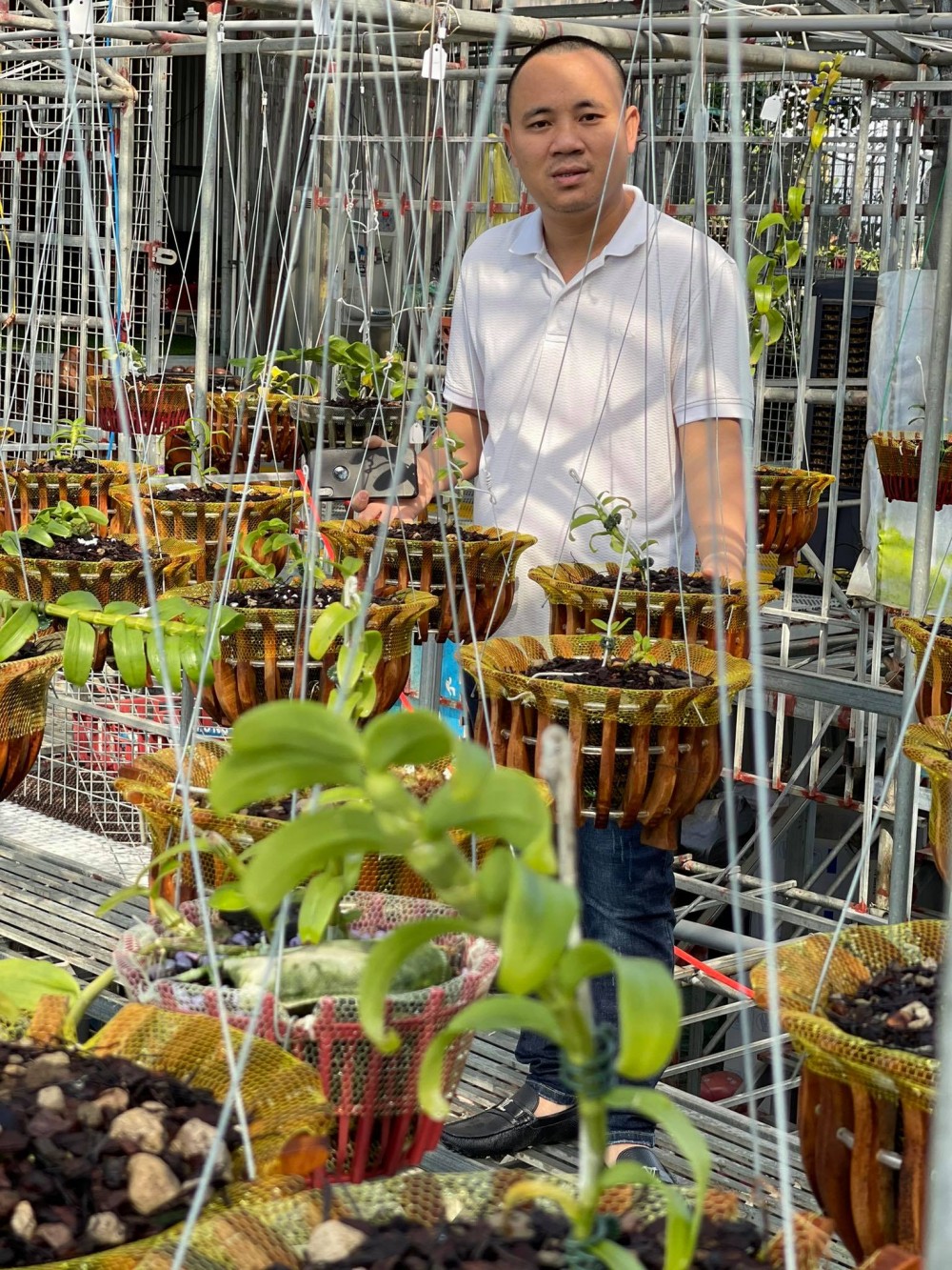 Đinh Quyền: Ông chủ vườn lan đam mê loài hoa vương giả