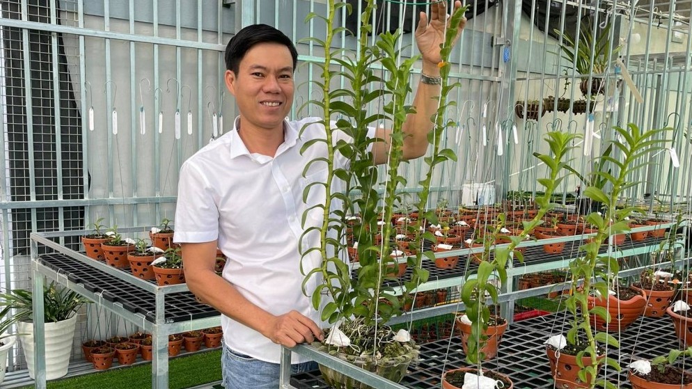 Hồng Quân: Từ ông chủ doanh nghiệp tới người trồng lan đột biến